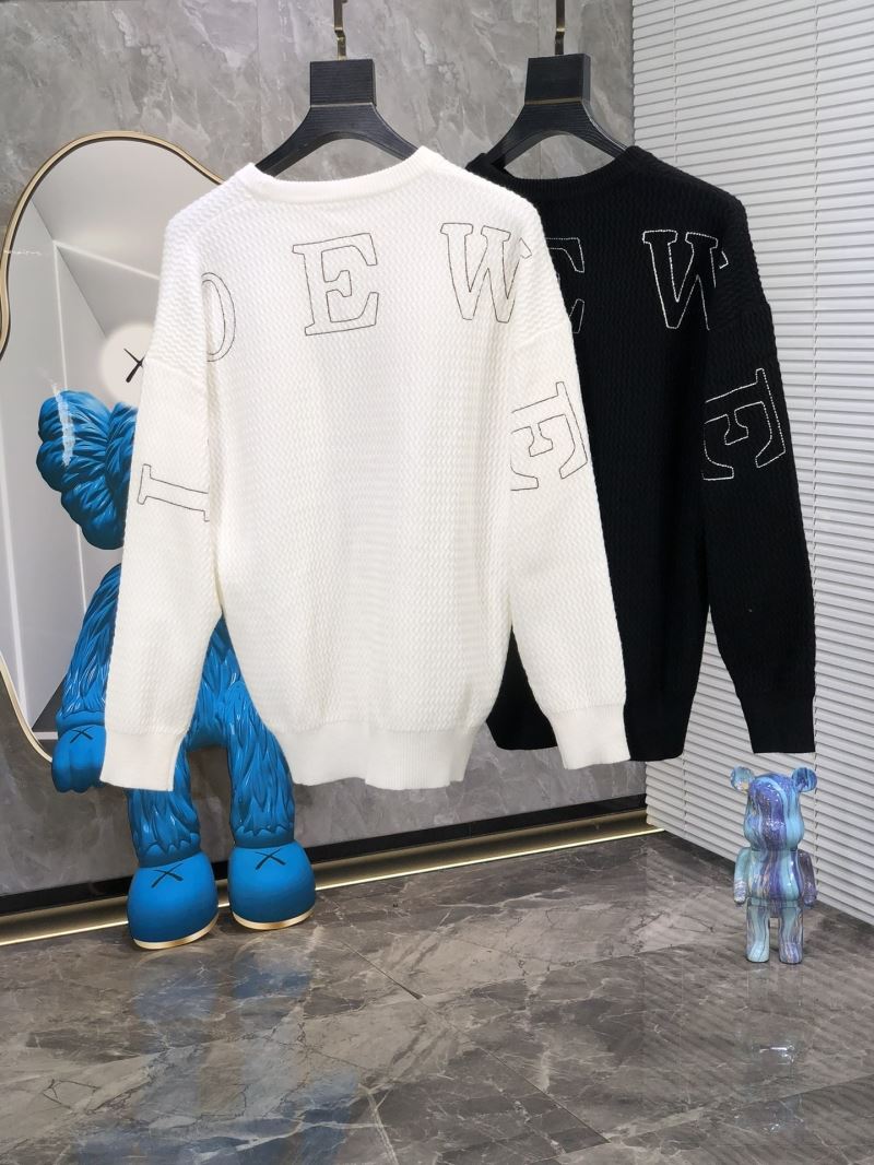 Loewe Sweaters